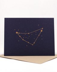 Constellation card, Capricorn