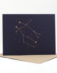 Constellation card, Gemini