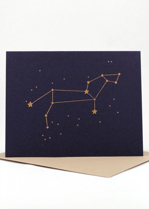 Constellation card, Leo