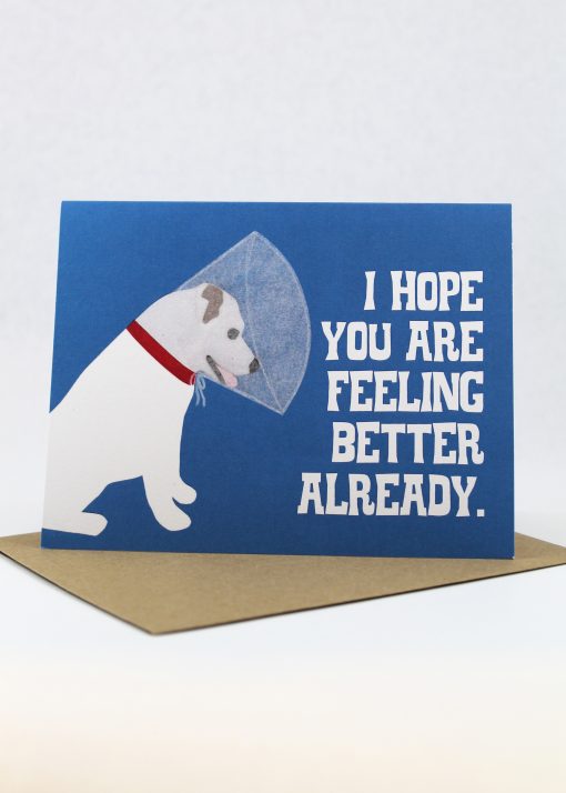 Dog with cone get well card