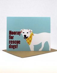 Hooray for rescue dogs