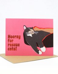Hooray for rescue cats