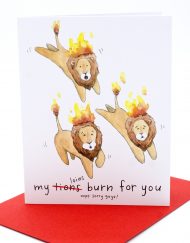 Funny Valentine's day cards